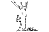 Engine Dog sees a cat stuck in a tree.